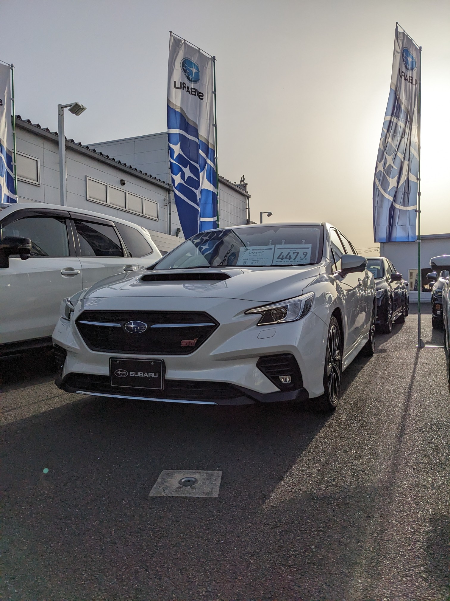 花粉の次は黄砂ですのん