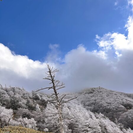 一ノ森～剣山縦走