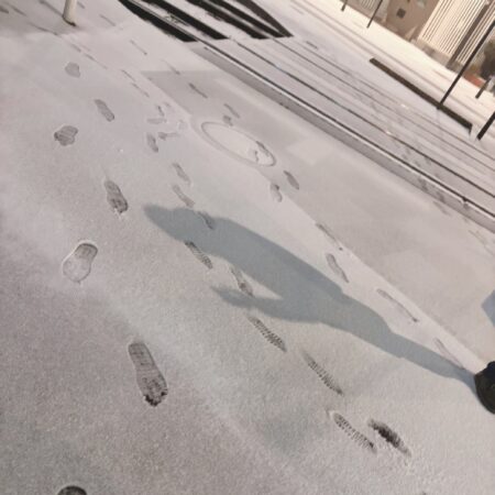 大寒波到来でしたね( ;∀;)