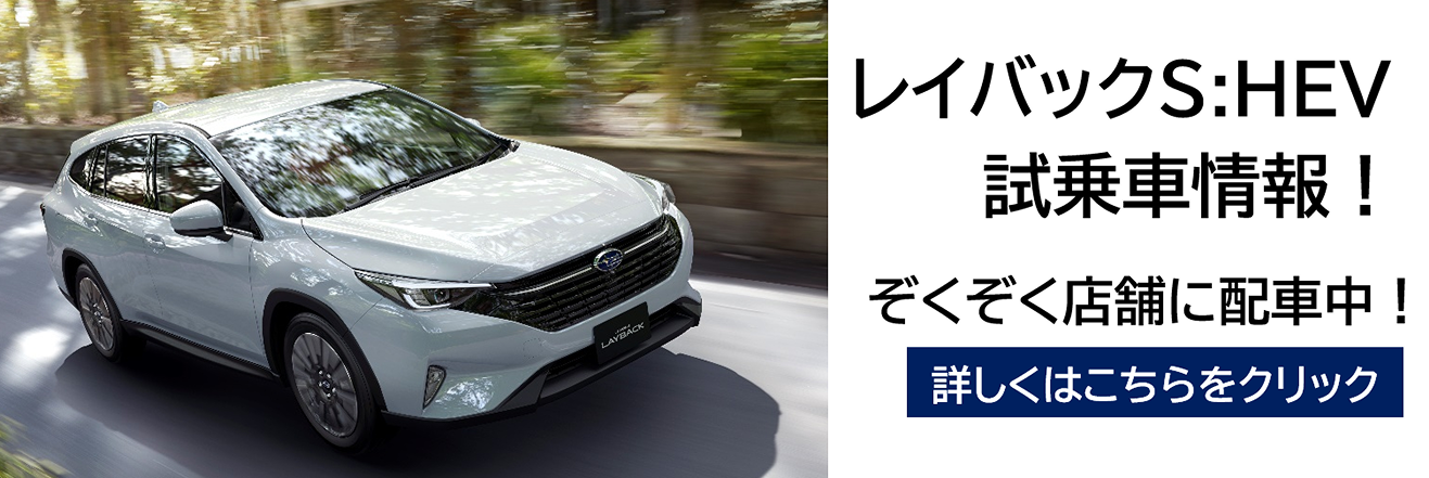 レイバックS:HEV 試乗車情報!