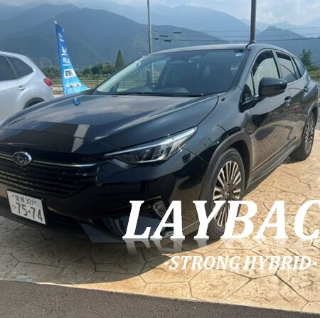NEW LAYBACK DEBUT FAIR ☆彡