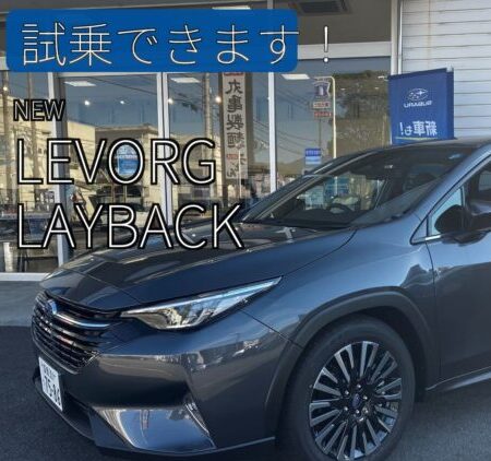 NEW LAYBACK DEBUT FAIR🌻試乗車できます♪